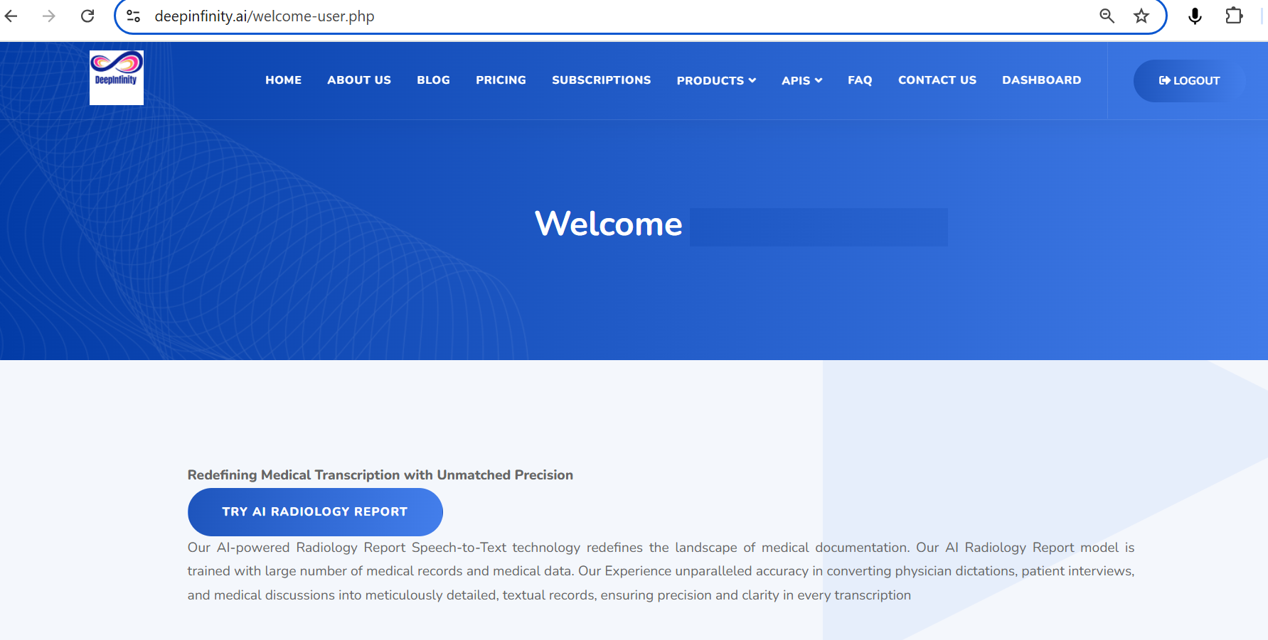 DeepInfinity AI Report